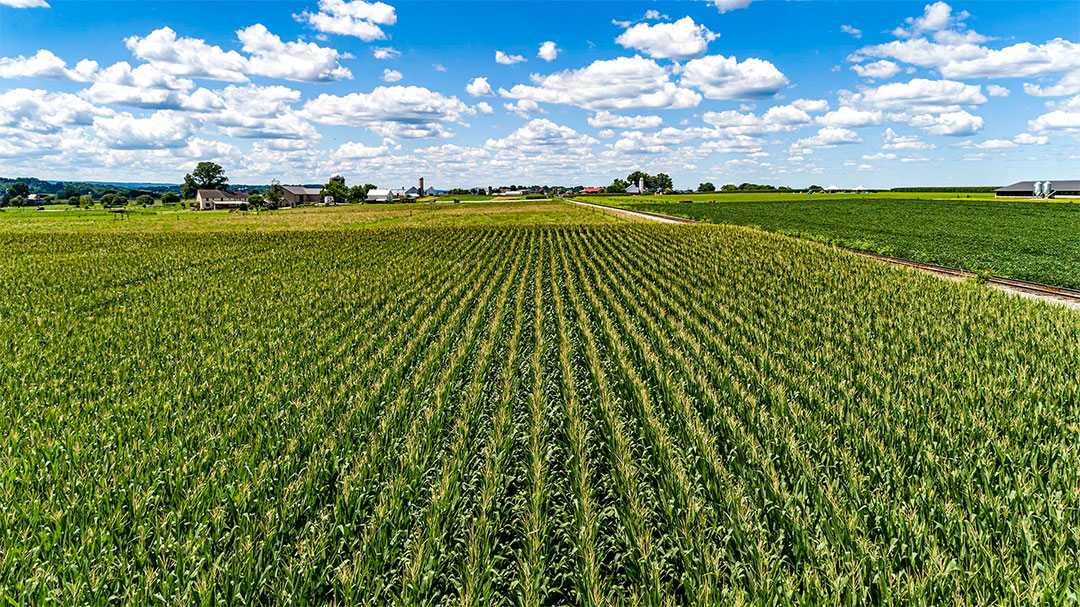 Ag drones in Bainbridge